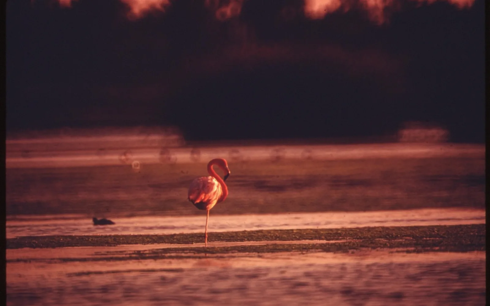 Nature & culture