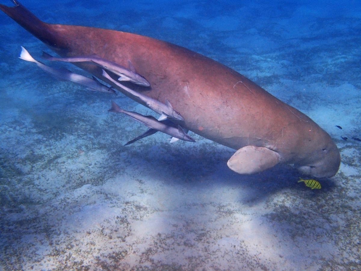 The nature and heritage of the Costa Blanca